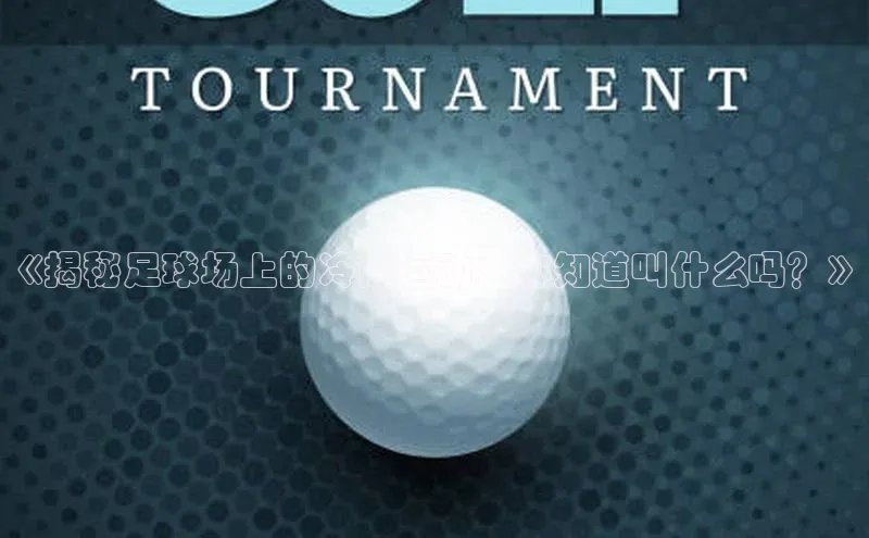 意昂3平台客服滴滴出行