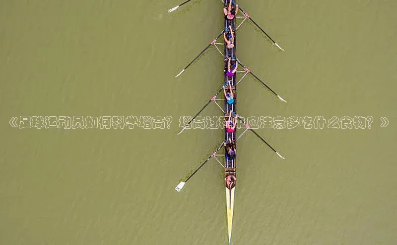 意昂3官网登陆入口百度翻译App