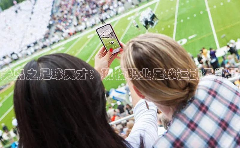 意昂3官网入口巴美列捷福