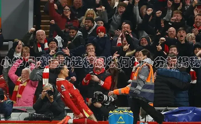 意昂3登陆入口网易