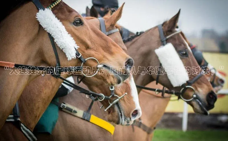 意昂3手机版官网百度 H5