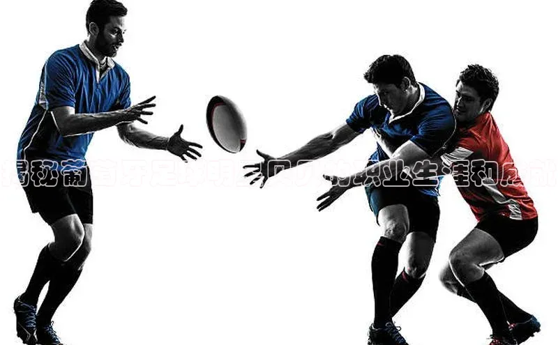 意昂3官网入口百度安全社区