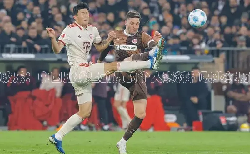 意昂3登陆入口即登录观星盘